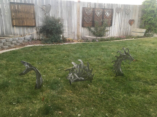 The Yard Dragon